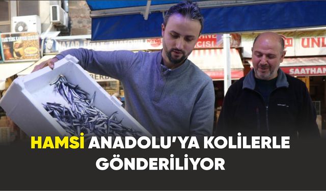 Hamsi, Anadolu’nun birçok ilinde yoğun talep görüyor
