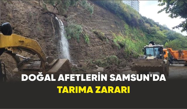 Samsun'da 171 tarımsal yapıda hasar meydana geldi