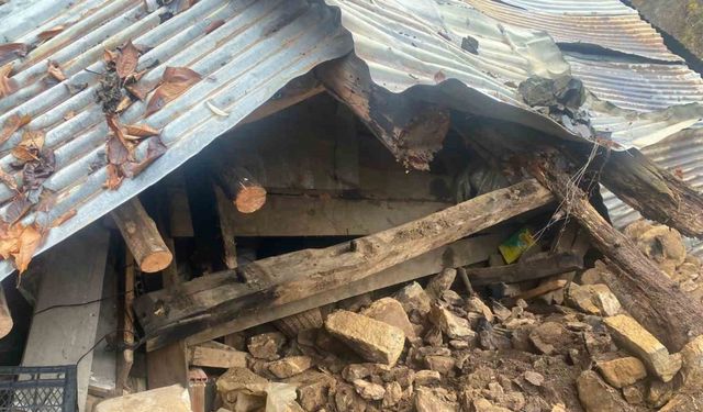 Artvin’de heyelan: Bir büyükbaş hayvan telef oldu