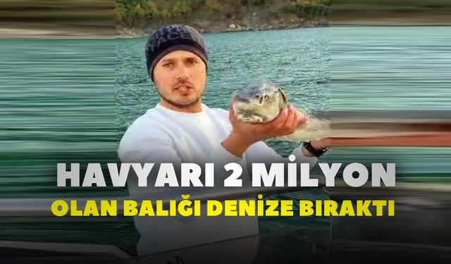 Havyarı 2 milyon TL’lik balığı denize bıraktı