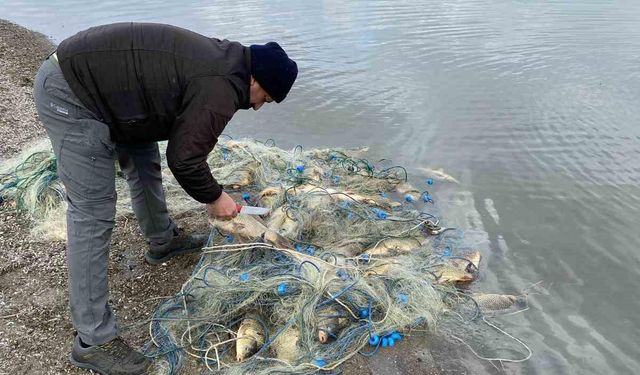 Alaca’da bin 700 kaçak ağ yakalandı