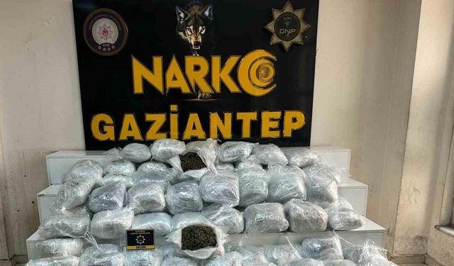 Gaziantep’te uyuşturucu operasyonu: 194 tutuklama