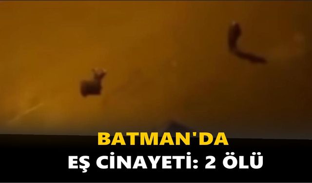 Batman’da cinayet: 2 ölü