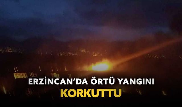 Erzincan’da örtü yangını korkuttu