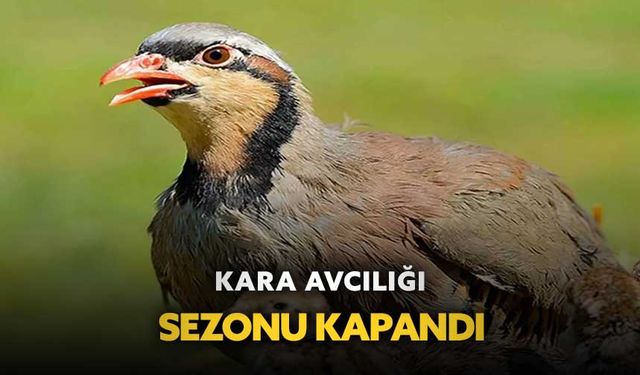 Kara avcılığı sezonu kapandı
