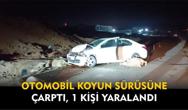 Bilecik’te otomobil koyun sürüsüne çarptı, 1 kişi yaralandı