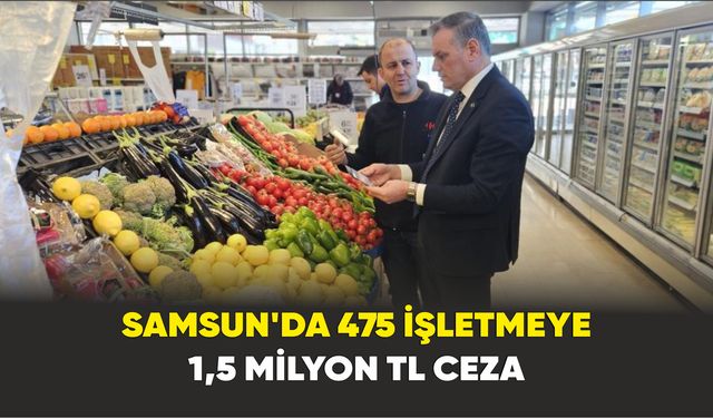 Samsun’da 475 işletmeye 1,5 milyon TL ceza