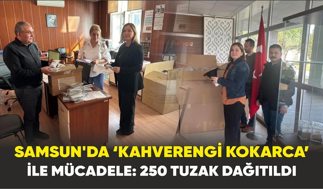 Samsun’da ‘kahverengi kokarca’ ile mücadele: 250 tuzak dağıtıldı