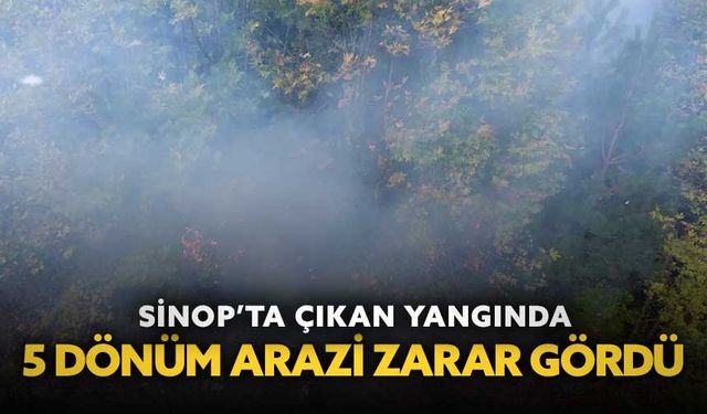 Sinop’ta çıkan yangında 5 dönüm arazi zarar gördü