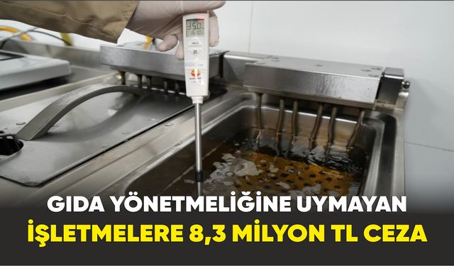 Samsun’da Gıda yönetmeliğine uymayan işletmelere 8,3 milyon TL ceza
