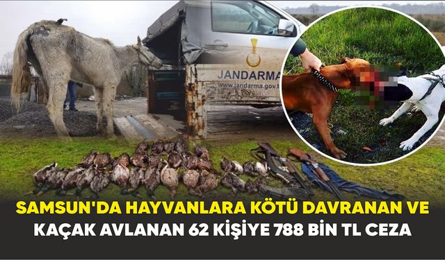 Samsun'da hayvanlara kötü davranan ve kaçak avlanan 62 kişiye 788 bin TL ceza