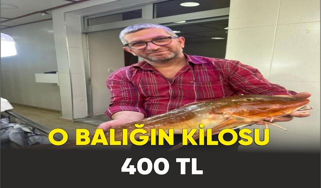 Kırlangıç balığı fiyatıyla dikkat çekti
