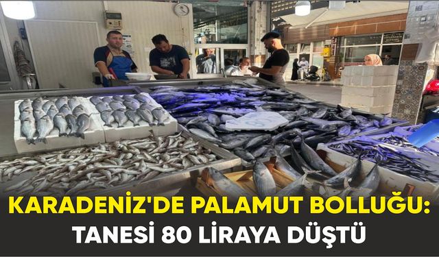 palamutun tanesi 80 liraya düştü