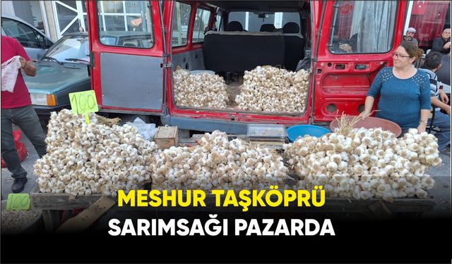 Meshur Taşköprü Sarımsağı Pazarda