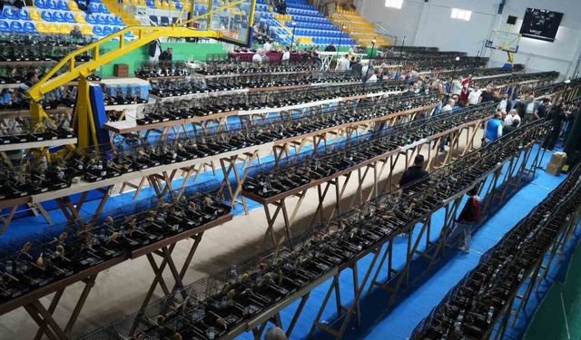 Balıkesir, Dünyanın En Yoğun Katılımlı Kanarya Irk Yarışmasına Ev Sahipliği Yaptı