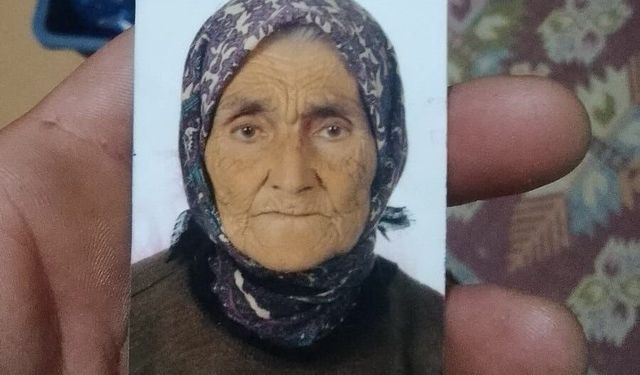 Zonguldak’ta bir kişi, domuz zannettiğini kadını vurarak öldürdü