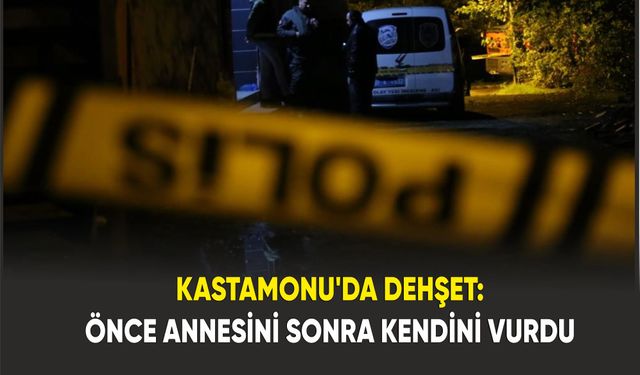 Psikolojik Sorunları Olan Şahıs Annesini Öldürüp İntihar Etti