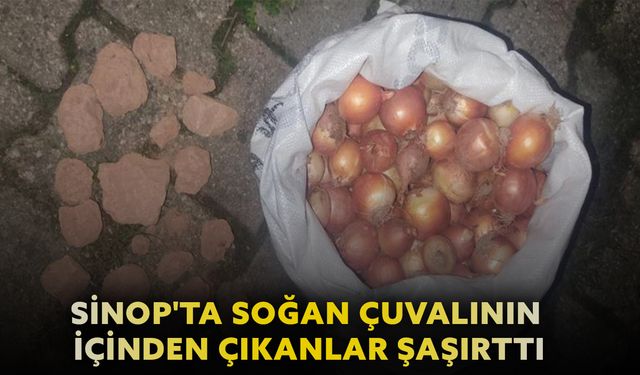 Sinop’ta soğan çuvalının içinden çıkanlar şaşırttı