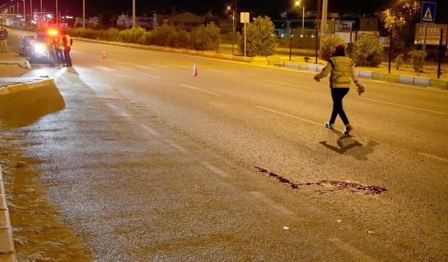 Trafik Kazası: Yaya Hayatını Kaybetti