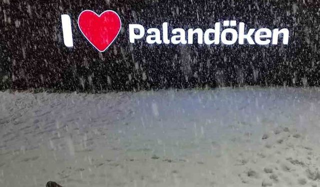 PALANDÖKEN'DE TİLKİLERİN KAR EĞLENCESİ