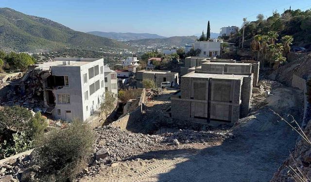 Ünlü sanatçı Suavi’ye Bodrum’da ağaç katliamı cezası: 47 Bin TL Ceza