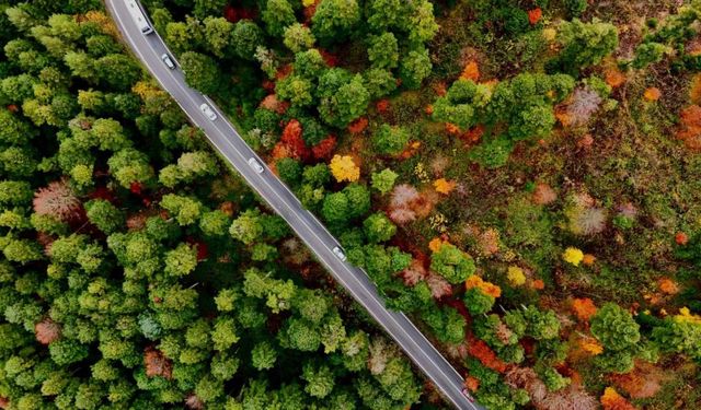 BOLU GÖLCÜK TABİAT PARKI'NDA SONBAHAR BÜYÜSÜ