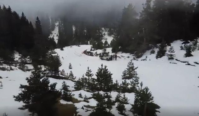 Sinop'ta Kış Masalı: Çatak Hacıağaç Yaylası Karla Kaplandı
