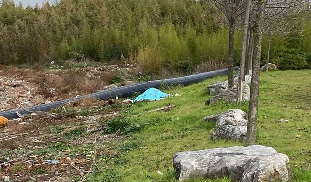 KOCAELİ’DE DENİZDE ELLERİ VE AYAKLARI BAĞLANMIŞ ERKEK CESEDİ BULUNDU
