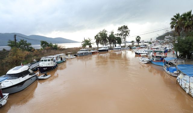 Kadın Azmağı’nın Rengi Kahverengiye Döndü