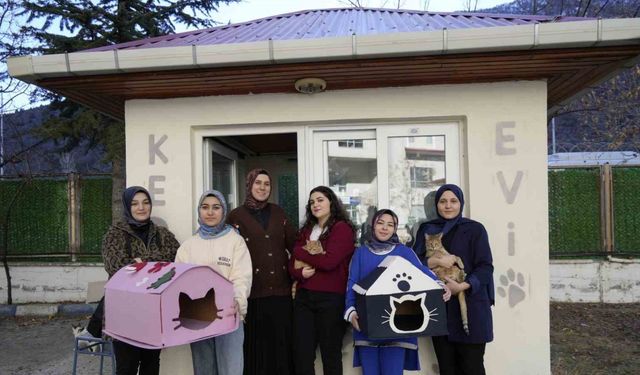 Gümüşhane’de Öğrencilerden Kedilere Sıcak Yuva Projesi
