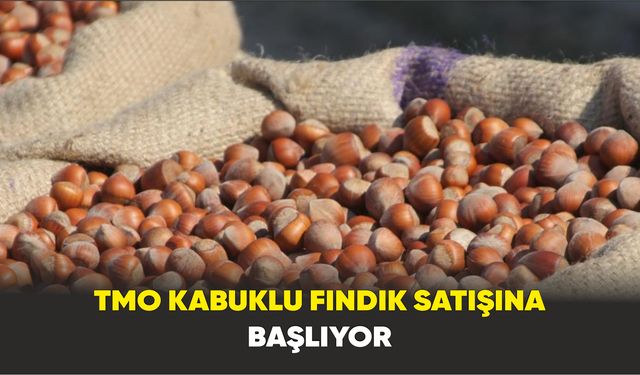 TMO kabuklu fındık satışına başlıyor
