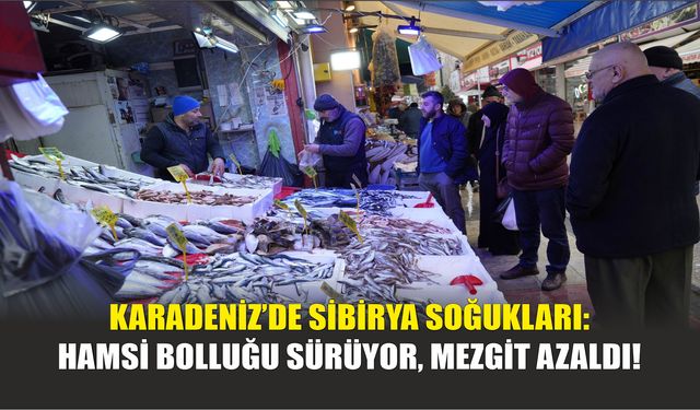 Karadeniz’de Sibirya Soğukları: Hamsi Bolluğu Sürüyor, Mezgit Azaldı!