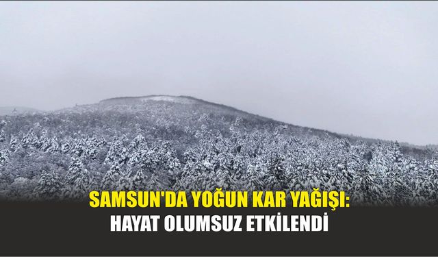 Samsun'a Yoğun Kar Yağışı: Hayat Olumsuz Etkilendi