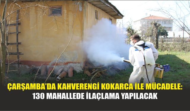Çarşamba’da Kahverengi Kokarca ile Mücadele: 130 Mahallede İlaçlama Yapılacak
