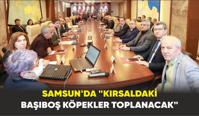Samsun'da "Kırsaldaki başıboş köpekler toplanacak"