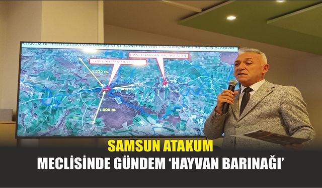 Samsun Atakum Meclisinde Gündem ‘Hayvan Barınağı’