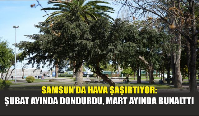 Samsun’da Hava Şaşırtıyor: Şubat Ayında Dondurdu, Mart Ayında Bunalttı