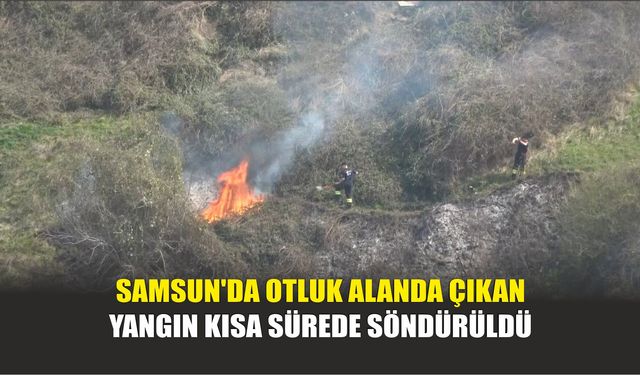 Samsun'da Otluk Alanda Çıkan Yangın Kısa Sürede Söndürüldü