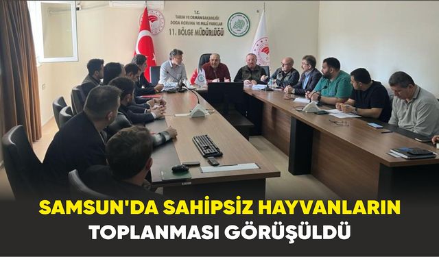 Samsun’da sahipsiz hayvanların toplanması görüşüldü