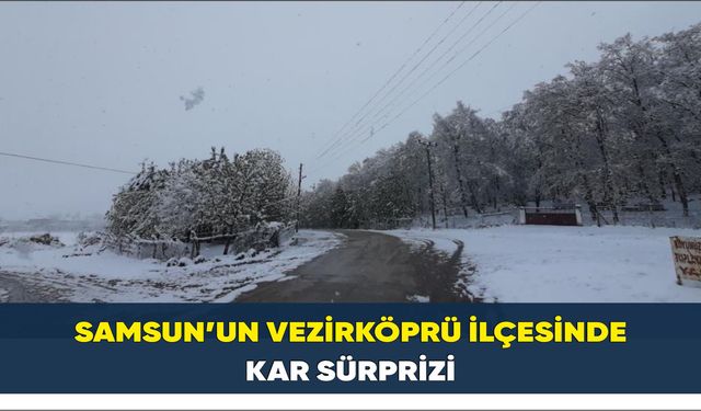 Samsun’un Vezirköprü ilçesinde kar sürprizi