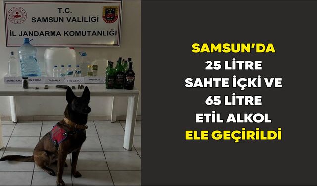 Samsun’da 25 litre sahte içki ve 65 litre etil alkol ele geçirildi