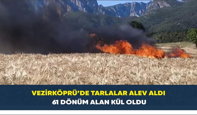 Vezirköprü’de tarlalar alev aldı: 61 dönüm alan kül oldu
