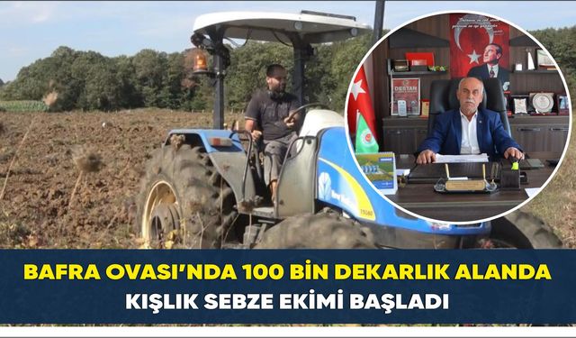 Bafra Ovası’nda 100 bin dekarlık alanda kışlık sebze ekimi başladı