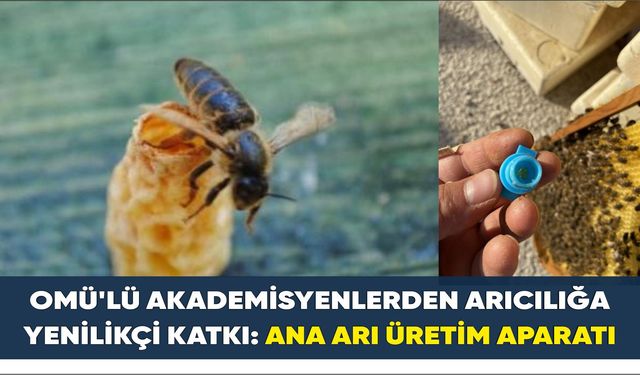 OMÜ’lü akademisyenlerden arıcılığa yenilikçi katkı