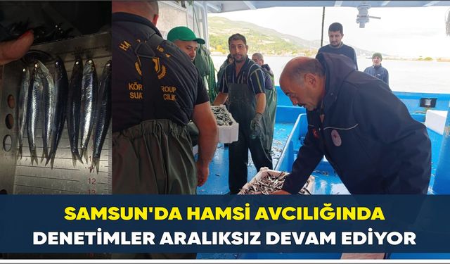 Samsun'da Hamsi Avcılığında Denetimler Aralıksız Devam Ediyor