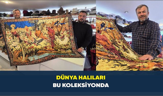 Dünya halıları bu koleksiyonda
