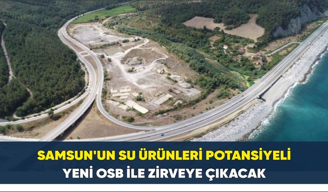 Samsun'un su ürünleri potansiyeli yeni OSB ile zirveye çıkacak