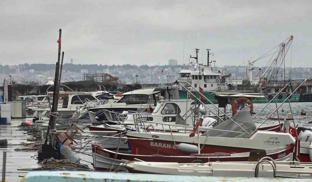 Uyanık lüfer Karadeniz zekasını kullandı