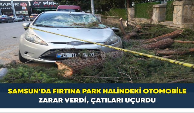 Samsun'da fırtına park halindeki otomobile zarar verdi, çatıları uçurdu