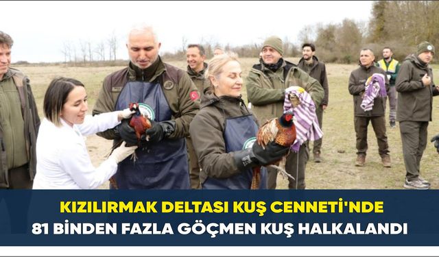 Kızılırmak Deltası Kuş Cenneti'nde 81 binden fazla göçmen kuş halkalandı